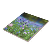 Cornflower-blaue dekorative Fliese (Seite)