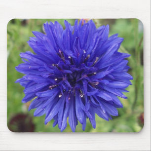 Cornflower-blauer Junge Mousepad