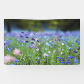 Cornflower Blue Banner (Horizontal)