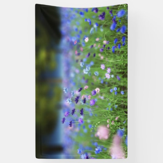 Cornflower Blue Banner (Vertikal)