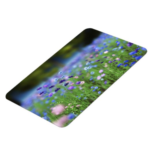 Cornflower Blue Flexible Magnet (Linke Seite)