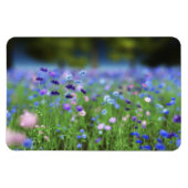Cornflower Blue Flexible Magnet (Horizontal)