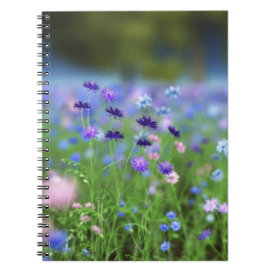 Cornflower Blue-Notebook Notizblock
