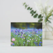 Cornflower Blue Postcard Postkarte (Stehend Vorderseite)