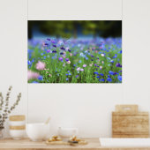 Cornflower Blue Print Poster (Küche)