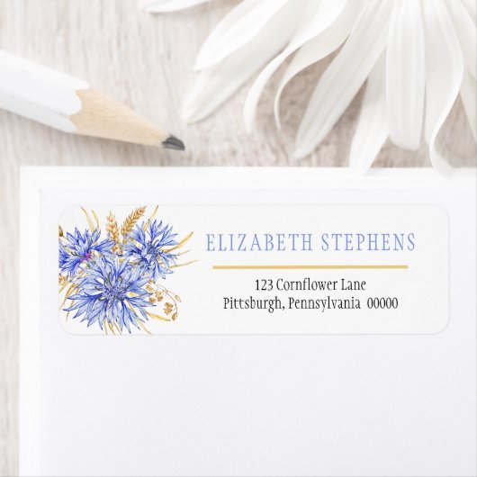 Cornflower Blue Wildblumen Blume (Insitu)