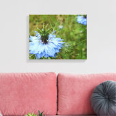 Cornflower Canvas Print Leinwanddruck (Insitu (Wohnzimmer))