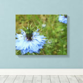 Cornflower Canvas Print Leinwanddruck (Insitu (Holzboden))