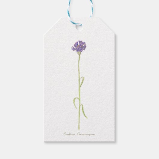Cornflower Geschenkanhänger (Vorderseite)