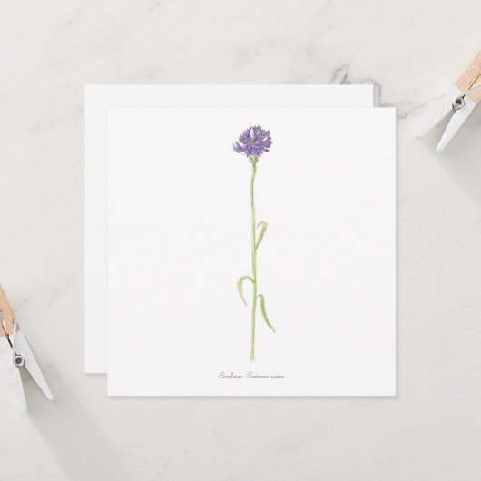 Cornflower Karte (Vorderseite/Rückseite Beispiel)