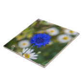 Cornflower-Keramikfliese Fliese (Seite)