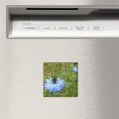 Cornflower Magnet (In Situ (Geschirrspüler))