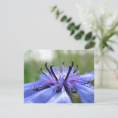 Cornflower Nature Foto Postkarte (Stehend Vorderseite)
