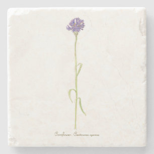 Cornflower Steinuntersetzer