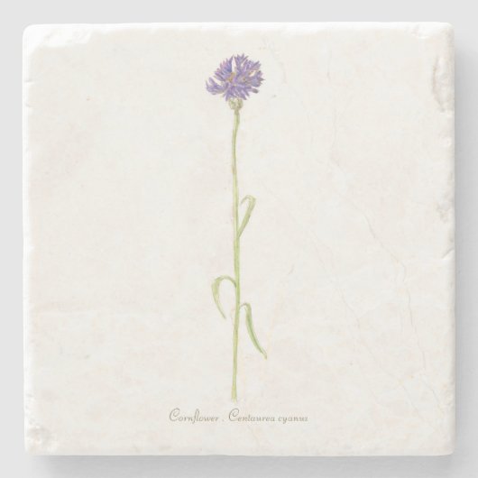 Cornflower Steinuntersetzer (Vorderseite)