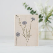 Cornflower von Jacques de Morgues Postkarte (Stehend Vorderseite)