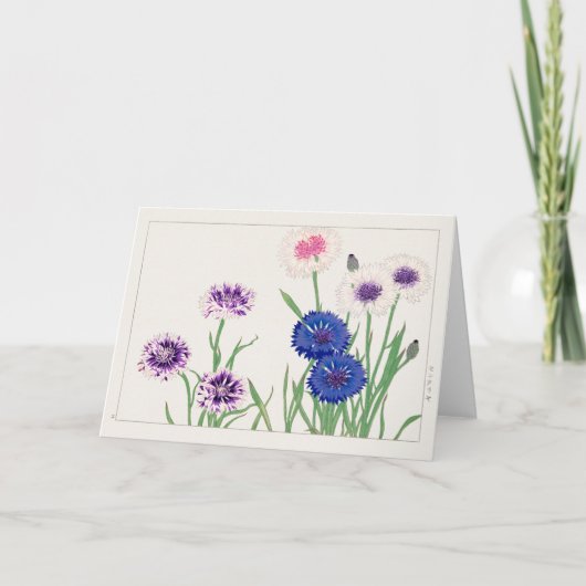 Cornflower von Tanigami Konan Karte (Vorderseite)
