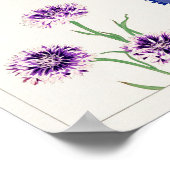 Cornflower von Tanigami Konan Poster (Ecke)