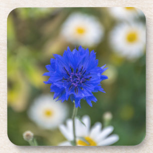 Cornflowerharte PlastikUntersetzer Untersetzer