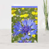 Cornflowerkarte Karte (Rückseite)