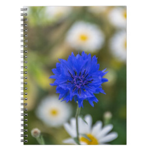Cornflowernotizbuch Notizblock