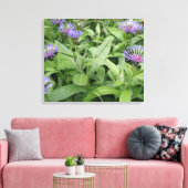 Cornflowers Canvas Print Leinwanddruck (Insitu (Wohnzimmer))
