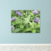 Cornflowers Canvas Print Leinwanddruck (Insitu (Holzboden))