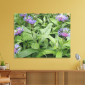 Cornflowers Canvas Print Leinwanddruck (Insitu (Wohnzimmer))
