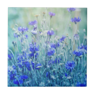 Cornflowers Fliese