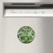 Cornflowers Magnet (In Situ (Geschirrspüler))
