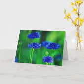 Cornflowersgrußkarte Karte (Gelbe Blume)