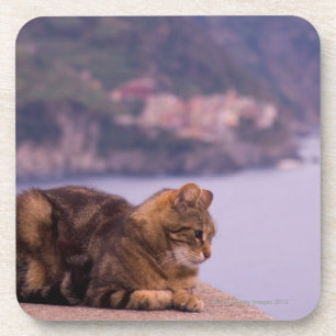 Corniglia, Cinque Terre, Italien Getränkeuntersetzer