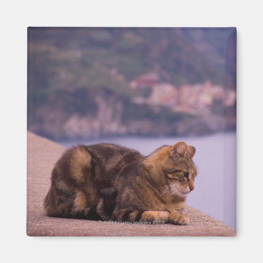 Corniglia, Cinque Terre, Italien Magnet (Vorne)