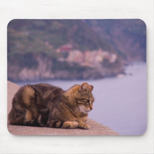 Corniglia, Cinque Terre, Italien Mousepad (Vorne)