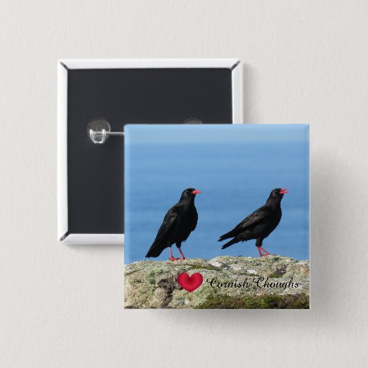 Cornisch Choughs (Palores) Pyrrhocorax pyrrhocorax Button (Vorne & Hinten)