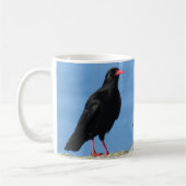 Cornisch Choughs (Palores) Pyrrhocorax pyrrhocorax Kaffeetasse (Links)