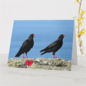 Cornisch Choughs (Palores) Pyrrhocorax pyrrhocorax Karte (Gelbe Blume)
