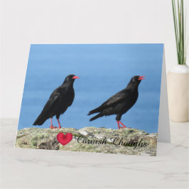 Cornisch Choughs (Palores) Pyrrhocorax pyrrhocorax Karte