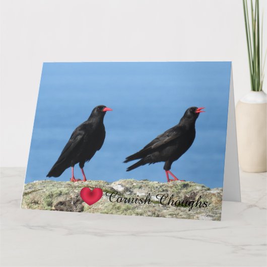 Cornisch Choughs (Palores) Pyrrhocorax pyrrhocorax Karte (Vorderseite)