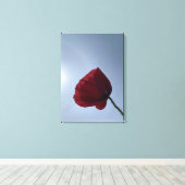 Cornisch roter Mohn mit grauem Himmel Leinwanddruck (Insitu (Holzboden))