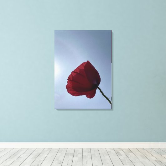 Cornisch roter Mohn mit grauem Himmel Leinwanddruck (Insitu (Holzboden))