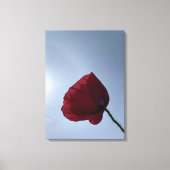 Cornisch roter Mohn mit grauem Himmel Leinwanddruck (Vorderseite)