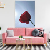 Cornisch roter Mohn mit grauem Himmel Leinwanddruck (Insitu (Wohnzimmer))