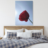 Cornisch roter Mohn mit grauem Himmel Leinwanddruck (Insitu (Schlafzimmer))