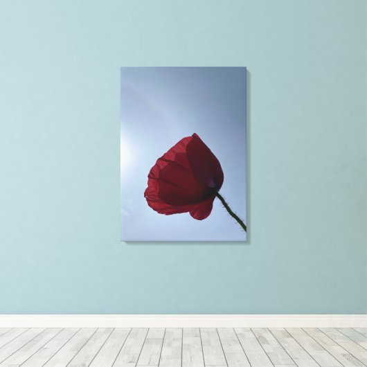 Cornisch roter Mohn mit grauem Himmel Leinwanddruck (Insitu (Holzboden))