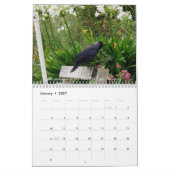 Cornish Adventures schöne Teile von Cornwall Kalender (Jan 2027)