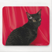 Cornish Rex Cat Mousepad (Vorne)