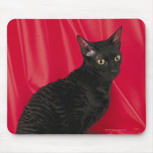 Cornish Rex Cat Mousepad (Vorne)