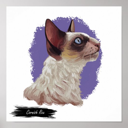 Cornish Rex Cat Print | Cat Wall Print Poster (Vorne)