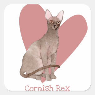 Cornish Rex Cat Watercolor Kitty Pink Herz Quadratischer Aufkleber